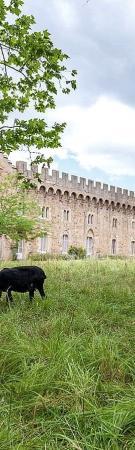abbaye de gaussan jardin agriterra