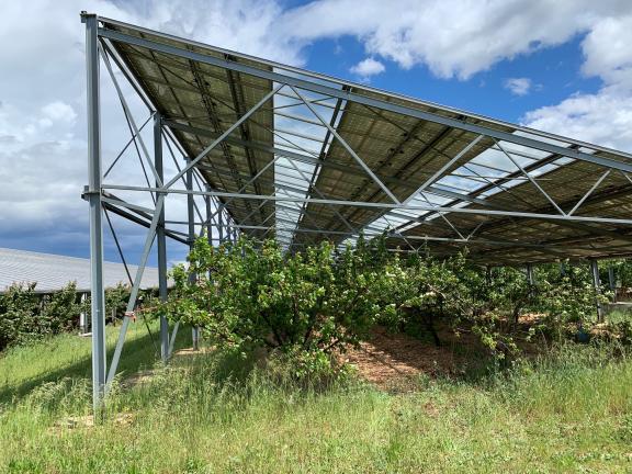 agriterra bellegarde