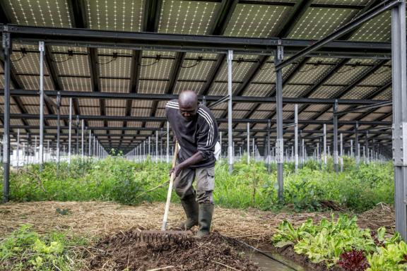 agriterra les cedres