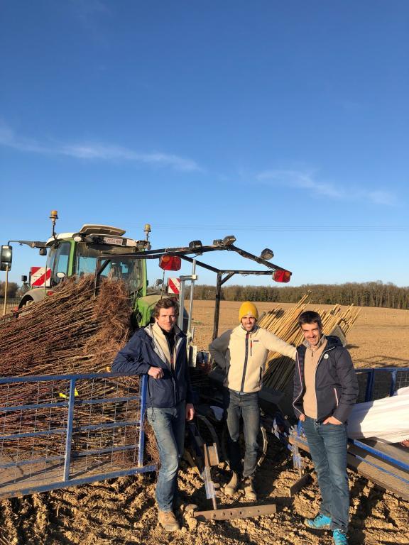 labastidette_greenpods