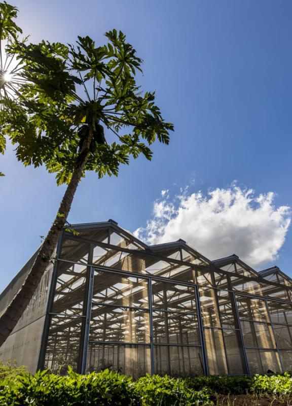 bardzour projet agriterra