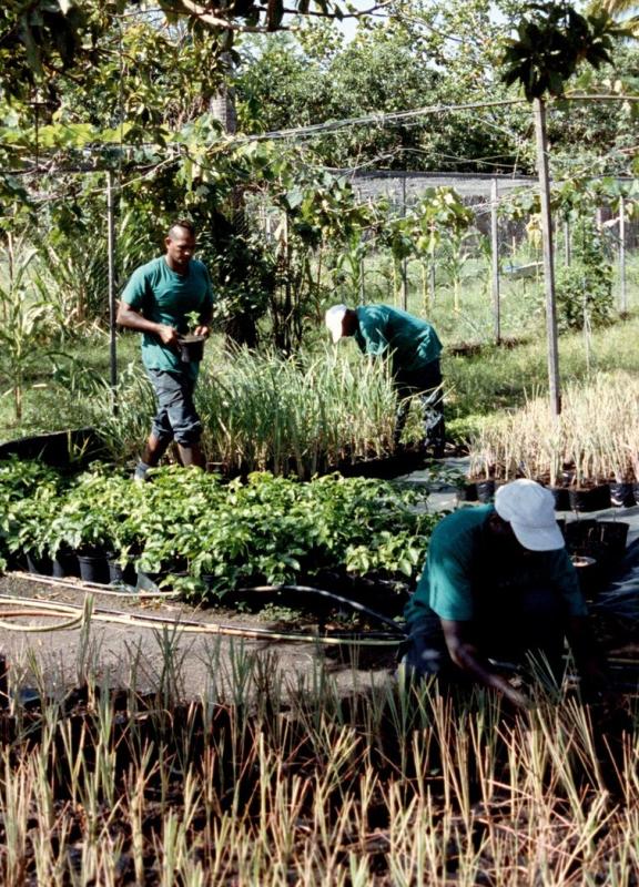 formation agricole pepiniere agriterra