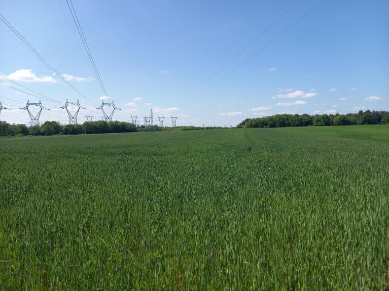 Sombernon céréales