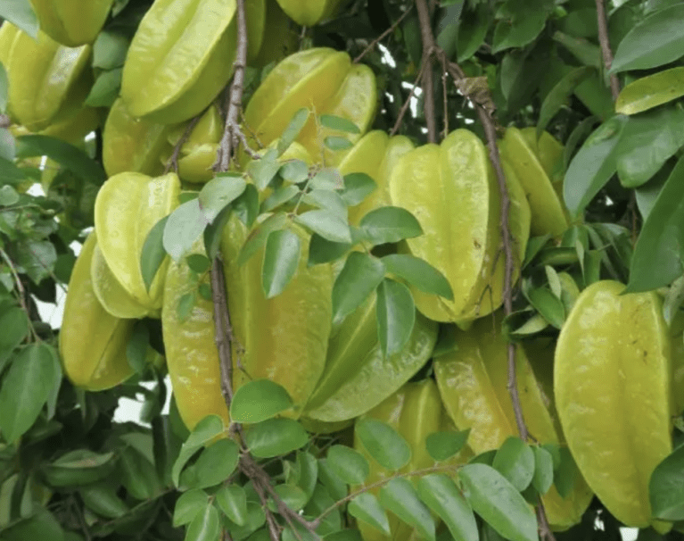 capture-decran-2023-09-14-a-15.34.52